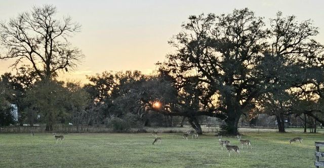 802 Comanche Trail Drive, Rosharon, TX 77583