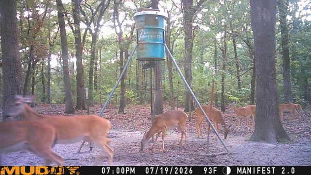 2155 NE County Road 2200, Mount Vernon, TX 75487