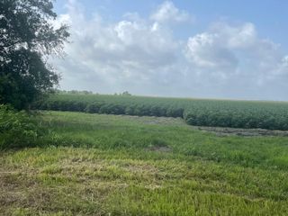 10815 Koym Road, Beasley, TX 77417