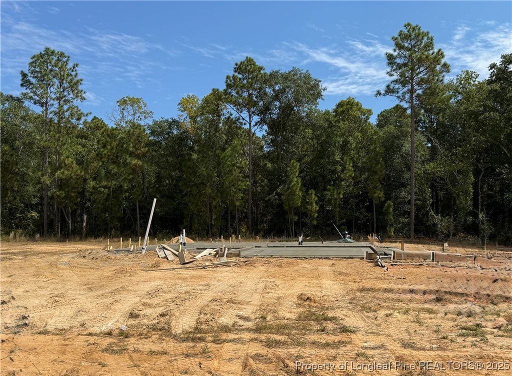 344 Sacksonia Street, Raeford, NC 28376
