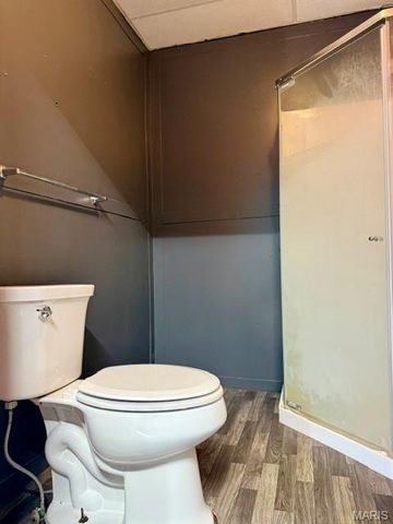 1209 Fulton Avenue, Hannibal, MO 63401