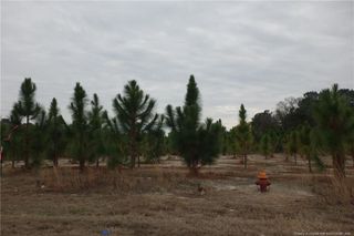 Lot 42 Stuarts Mill Road, Fairmont, NC 28340