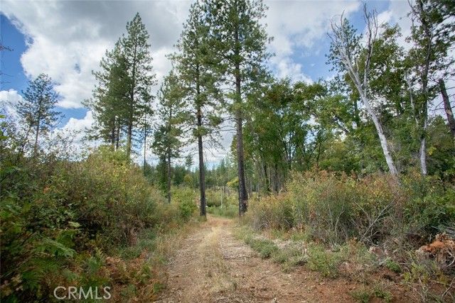 4023 Kakini Road, Oroville, CA 95965