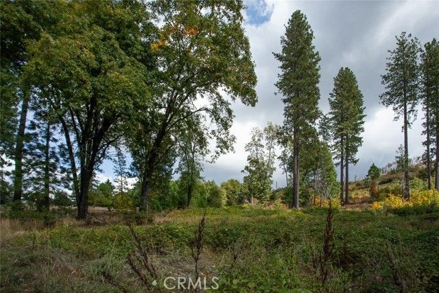 4023 Kakini Road, Oroville, CA 95965