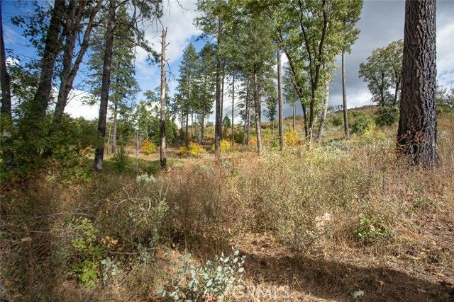 4023 Kakini Road, Oroville, CA 95965