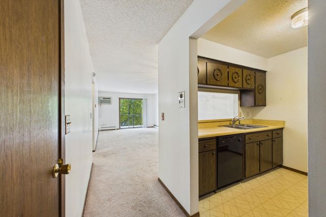 2809 E Minnehaha Parkway 205, Minneapolis, MN 55417