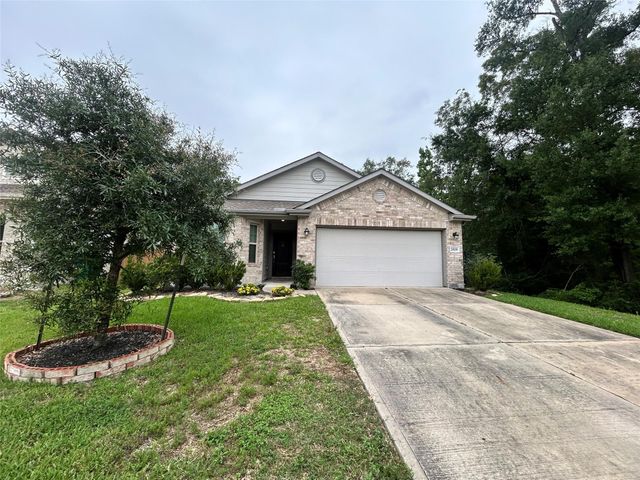 28106 Aspen Horizon Drive, Spring, TX 77386