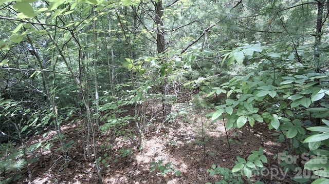 77 Kako Ridge 57, Sylva, NC 28779
