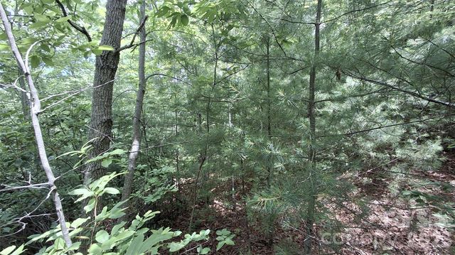 77 Kako Ridge 57, Sylva, NC 28779