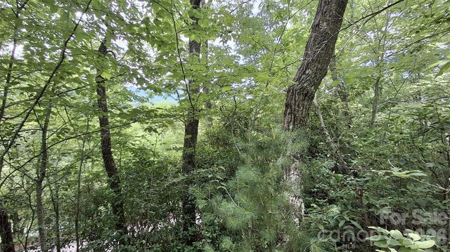 77 Kako Ridge 57, Sylva, NC 28779