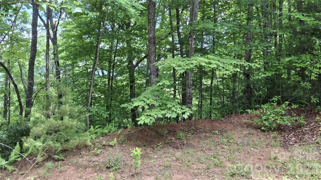77 Kako Ridge 57, Sylva, NC 28779
