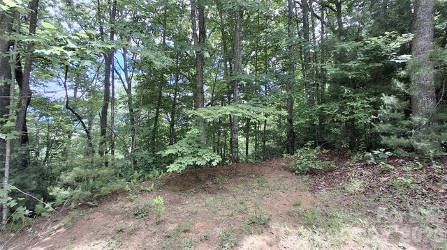 77 Kako Ridge 57, Sylva, NC 28779