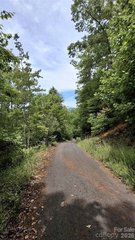 77 Kako Ridge 57, Sylva, NC 28779