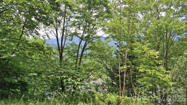 77 Kako Ridge 57, Sylva, NC 28779