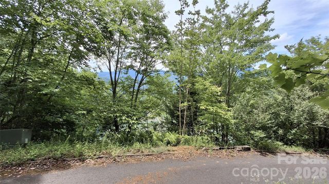 77 Kako Ridge 57, Sylva, NC 28779
