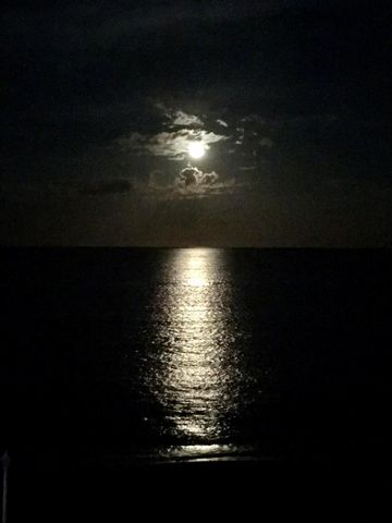 3456 S Ocean Boulevard 504, Palm Beach, FL 33480