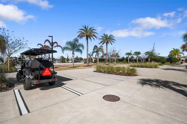 10499 GABLE DIG LOOP, San Antonio, FL 33576