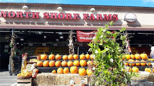 60-39 251st Street 2nd Fl, Little Neck, NY 11362