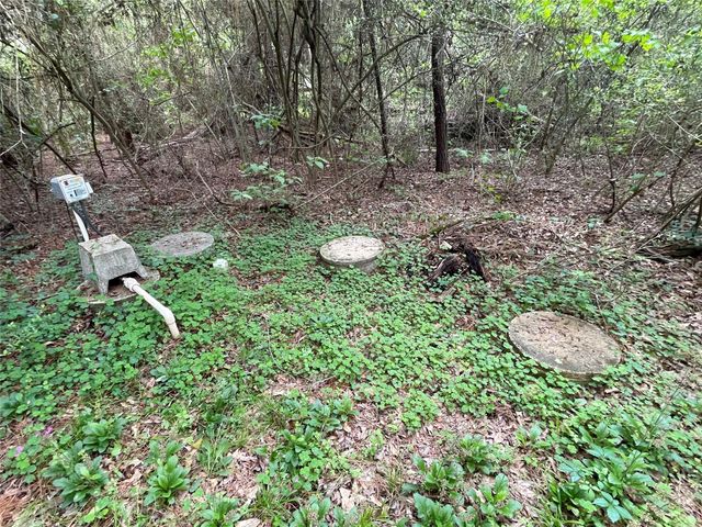 24746 Country Oaks Boulevard, Montgomery, TX 77316