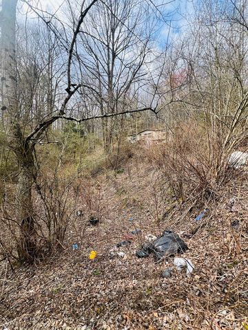 1659 Joe Brown Hwy, Murphy, NC 28906