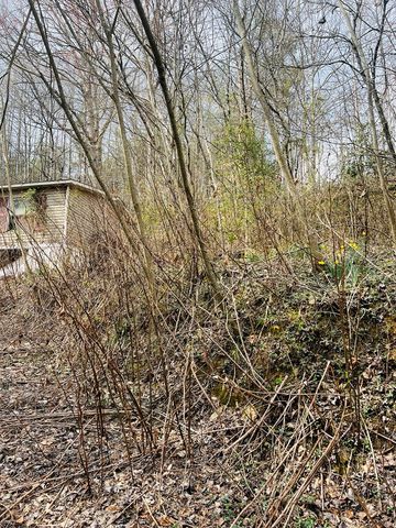 1659 Joe Brown Hwy, Murphy, NC 28906