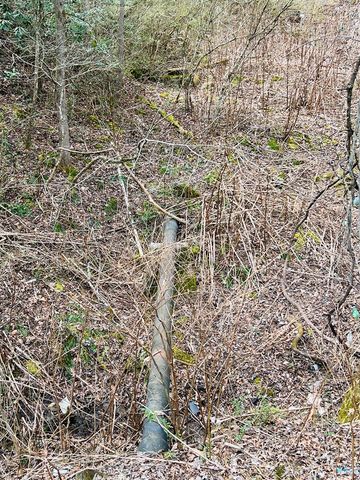 1659 Joe Brown Hwy, Murphy, NC 28906