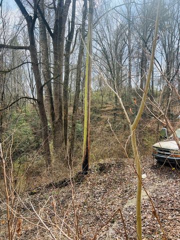 1659 Joe Brown Hwy, Murphy, NC 28906