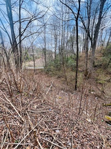 1659 Joe Brown Hwy, Murphy, NC 28906