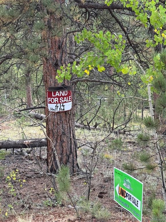 414 Hall Road, Bailey, CO 80421