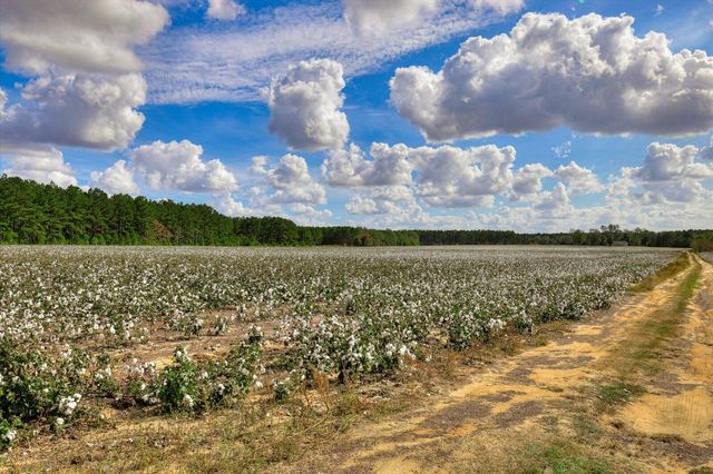 1300 Terry Drive, Wrens, GA 30833