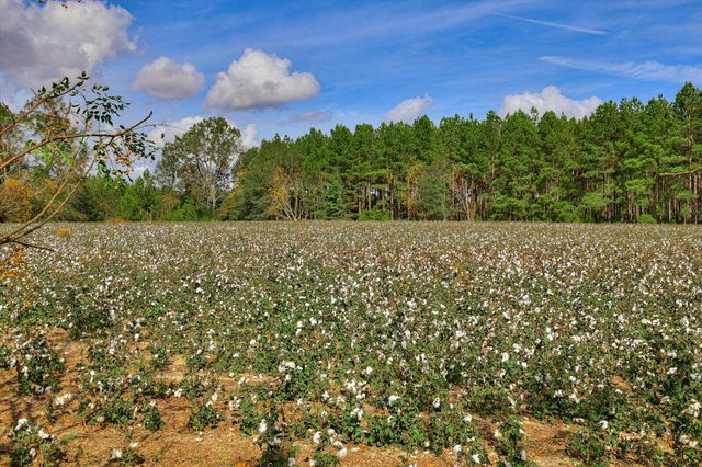 1300 Terry Drive, Wrens, GA 30833