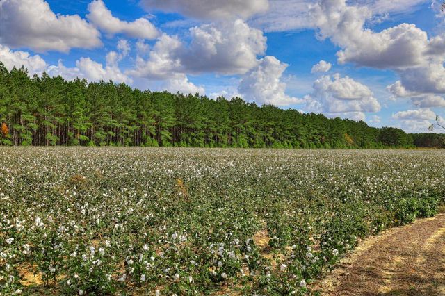 1300 Terry Drive, Wrens, GA 30833