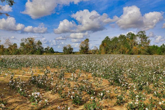 1300 Terry Drive, Wrens, GA 30833