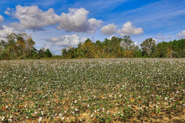 1300 Terry Drive, Wrens, GA 30833