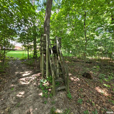 309 W EAGLE NEST Road, Dunlap, IL 61525