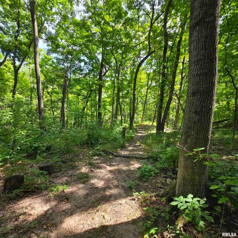 309 W EAGLE NEST Road, Dunlap, IL 61525