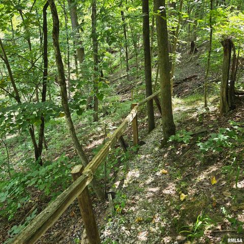 309 W EAGLE NEST Road, Dunlap, IL 61525