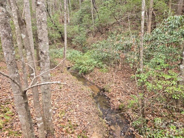 575 Shannons Walk, Lake Lure, NC 28746