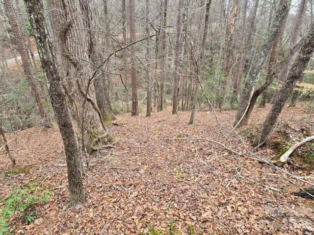 575 Shannons Walk, Lake Lure, NC 28746