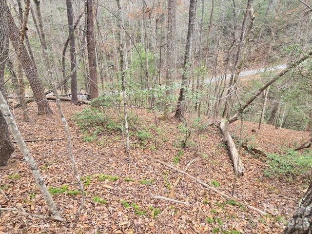 575 Shannons Walk, Lake Lure, NC 28746