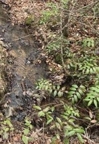 575 Shannons Walk, Lake Lure, NC 28746