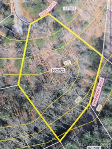 575 Shannons Walk, Lake Lure, NC 28746