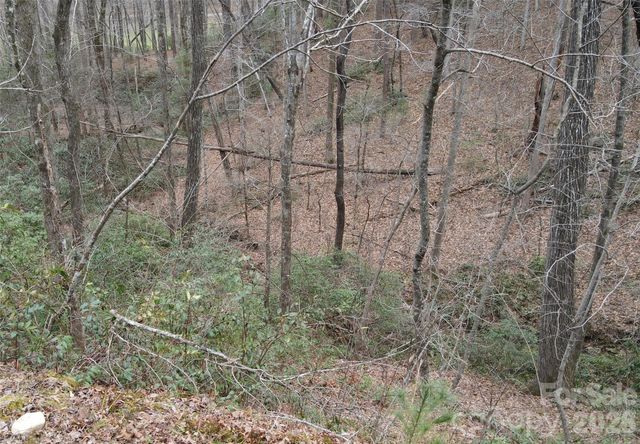 575 Shannons Walk, Lake Lure, NC 28746