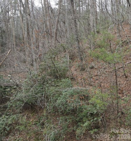 575 Shannons Walk, Lake Lure, NC 28746