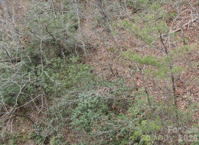 575 Shannons Walk, Lake Lure, NC 28746