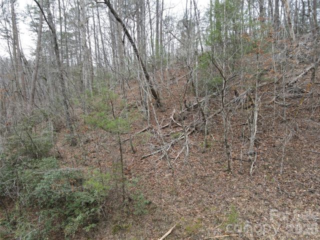 575 Shannons Walk, Lake Lure, NC 28746