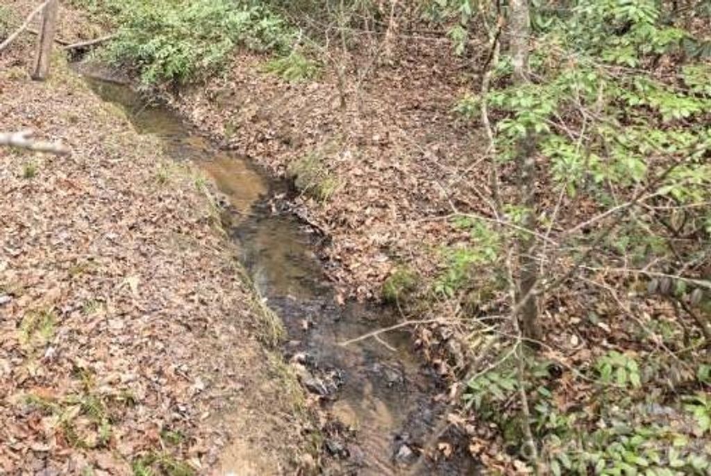 575 Shannons Walk, Lake Lure, NC 28746