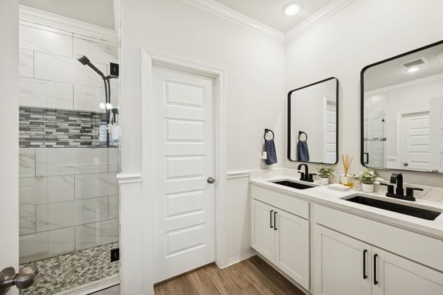 23339 Spring Genesis Lane, Katy, TX 77493