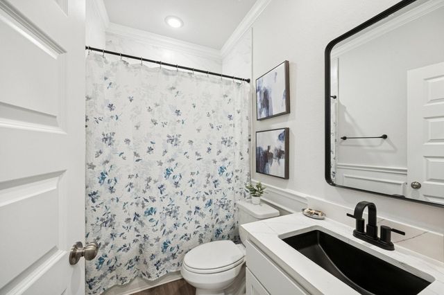 23339 Spring Genesis Lane, Katy, TX 77493