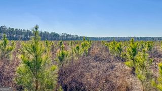 0 Highway 301 3, Statesboro, GA 30461